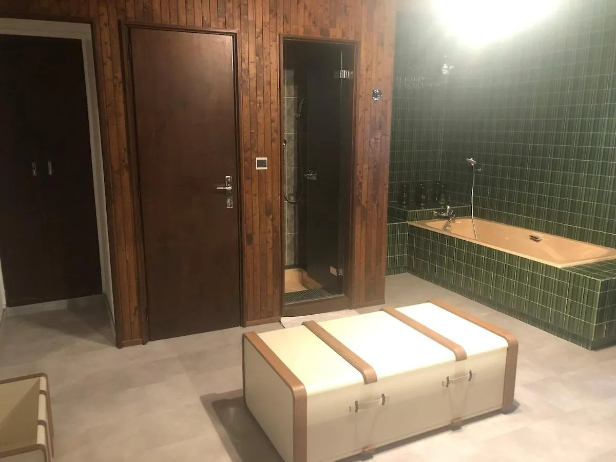 Apartamento Appartement 220M2 15P Avec Sauna, Hyper Center Luchon Bagnères-de-Luchon Francia